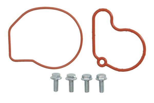 Reparatursatz, Unterdruckpumpe (Bremsanlage) Engitech für Audi 95-12