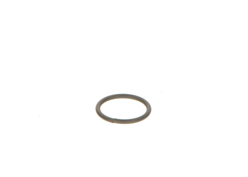 Bosch F00Vc23002 Dichtring