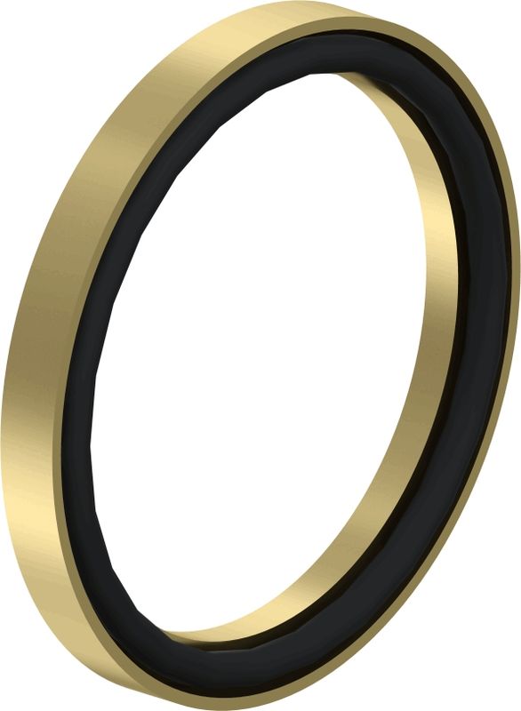 Wabco Druckring