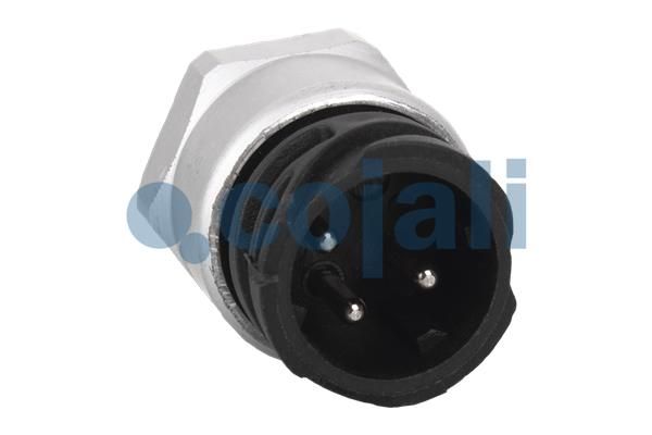 Cojali Sensor