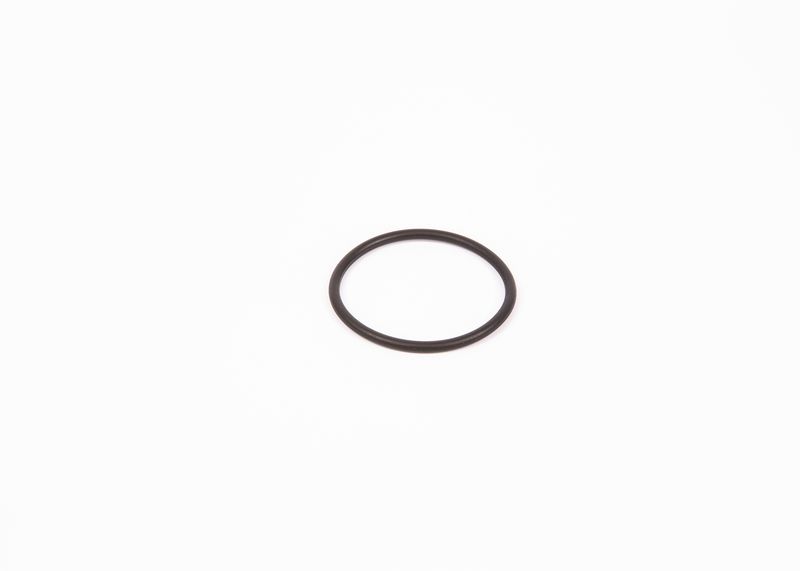 Bosch F00R0P0166 Gummiring