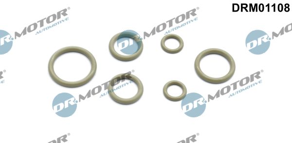 Dr.motor Automotive Drm01108 Reparatursatz, Klimaanlage für Renault