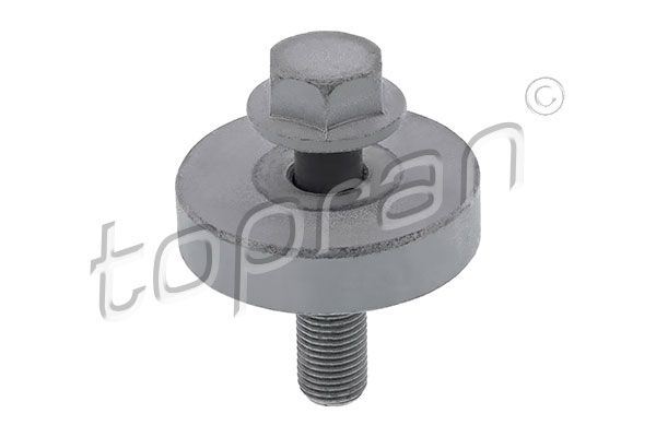 Riemenscheibenschraube für 8200608653 RENAULT CLIO II + I + 01->
