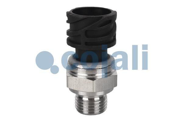 Cojali Sensor