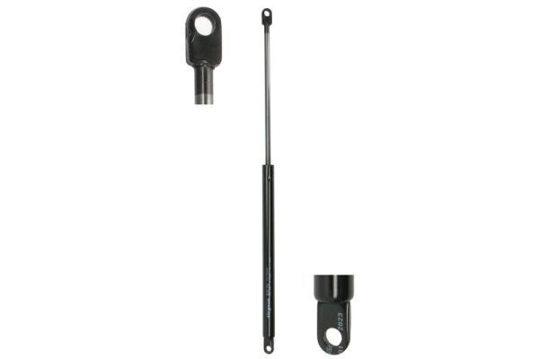 Magnum Technology Gasfeder