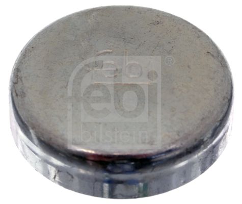 Febi Bilstein 02543 Froststopfen für Mercedes 8 Limo Coupe 123 1964->
