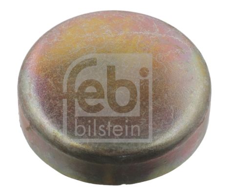 Froststopfen Febi Bilstein 07295 für BMW DAF E36 + E24 + E39 + 68->