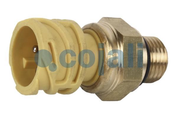 Cojali Sensor