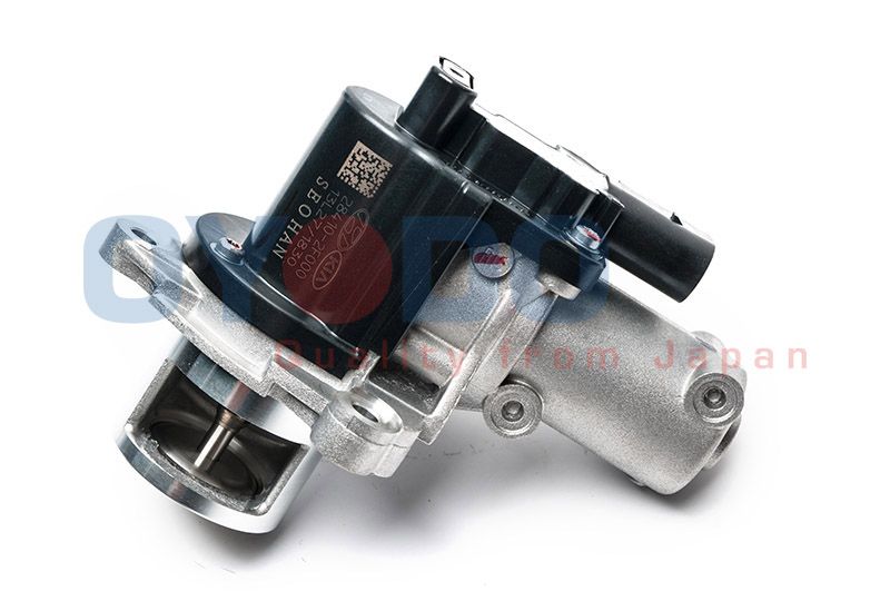 Oyodo 75E0316-Oyo Agr-Ventil für Hyundai Ix35 Santa FE II 2009-2018