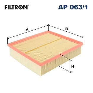 Luftfilter Filtron Ap063/1 für Audi BMW Skoda VW Alpina A6 + 92-08
