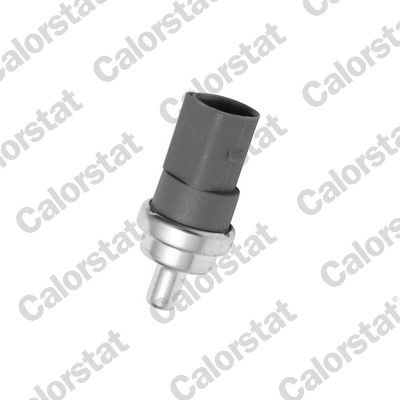 Calorstat by Vernet Ws2604 Sensor, Kühlmitteltemperatur Hinten