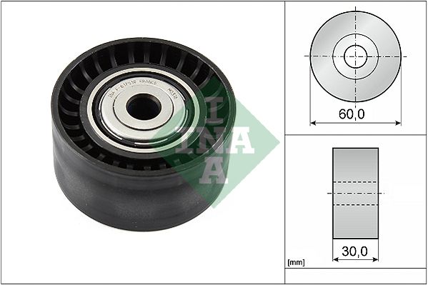 Schaeffler INA 532053410 Umlenk Führungsrolle, Keilrippenriemen