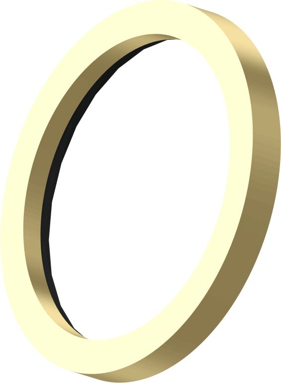 Wabco Druckring