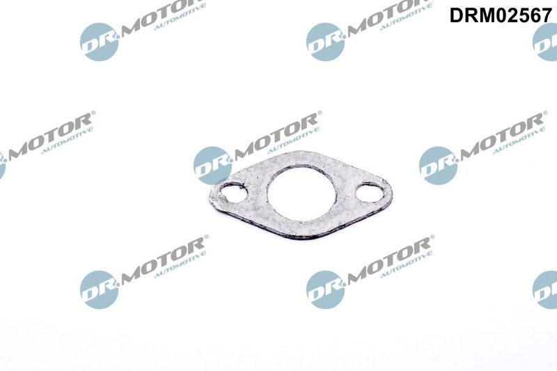Dr.motor Automotive Drm02567 Dichtung, Sekundärluftventil für BMW X5