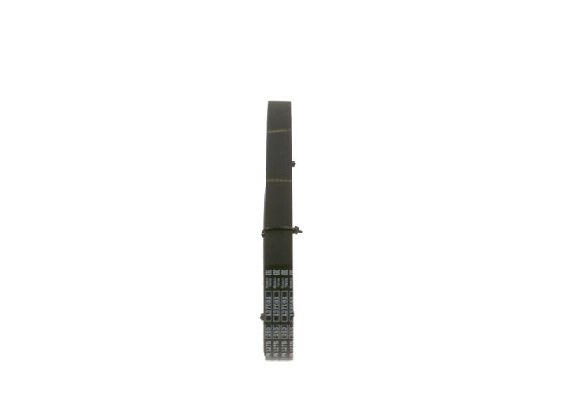 Bosch 1987947978 Keilrippenriemen für Audi A3 BMW F20 F21 1994-2021