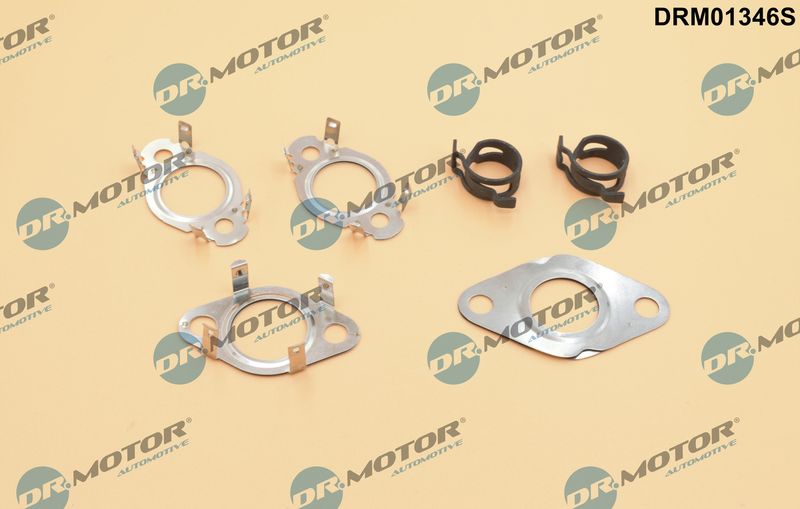 Dr.motor Automotive Drm01346S Dichtungssatz, Agr-System für Audi A4