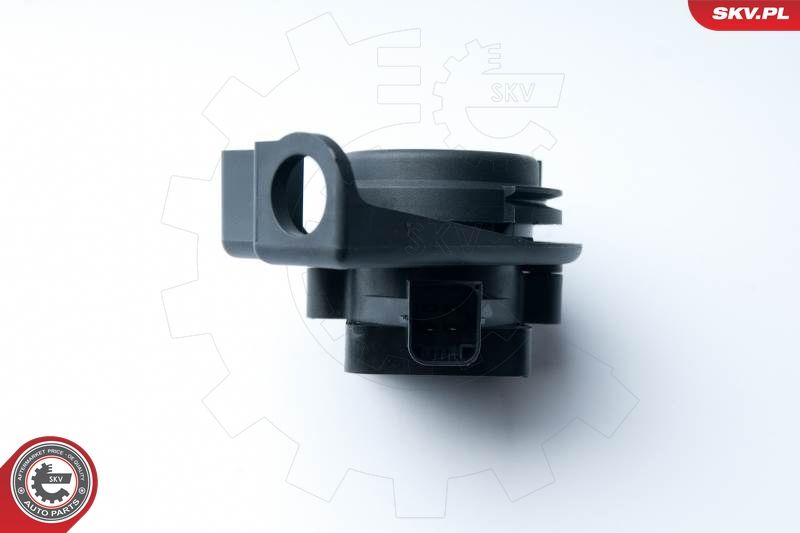 Esen SKV 17Skv015 Sensor, Drosselklappenstellung für Peugeot 1998->