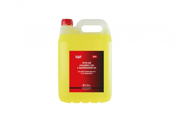 Frostschutz für G012A8DA1 G012A8DA1S3 1940663 AUDI MAZDA OPEL 78-12