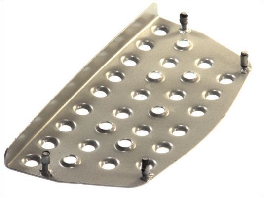 Pacol Trittbrett Links für MAN TGA 2000->
