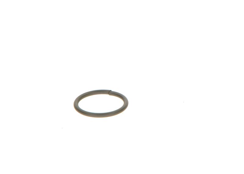 Bosch F00Vc23002 Dichtring