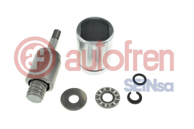 Autofren Seinsa D025684K Kolben, Bremssattel Hinten für Audi 2011->