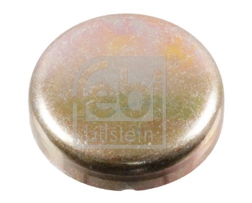 Febi Bilstein 02956 Froststopfen für BMW E46 E34 E36 E21 1964-2006