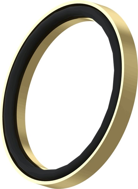 Wabco Druckring