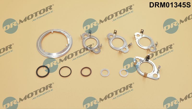 Dr.motor Automotive Drm01345S Dichtungssatz, Agr-System für Audi A1