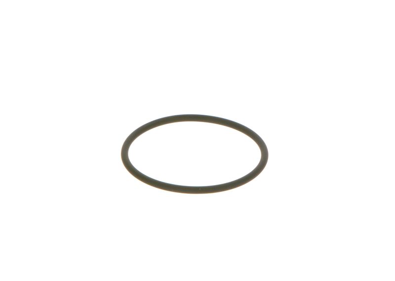 Bosch F00N202130 Gummiring