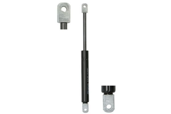 Magnum Technology Gasfeder