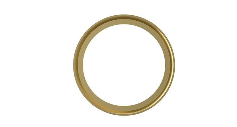 Wabco Druckring
