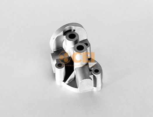 C.e.i. 280.531 Halter