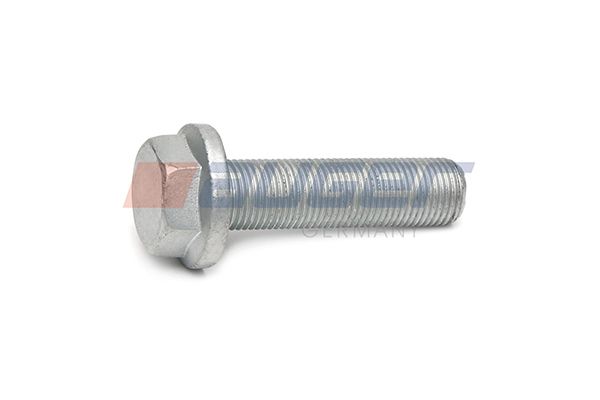 Auger Schraube, Bremssattel
