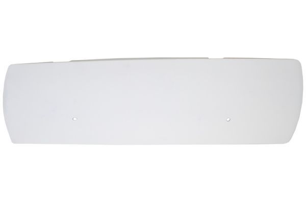 Pacol Windleitblech, Fahrerhaus für DAF XF 95 2002-2006