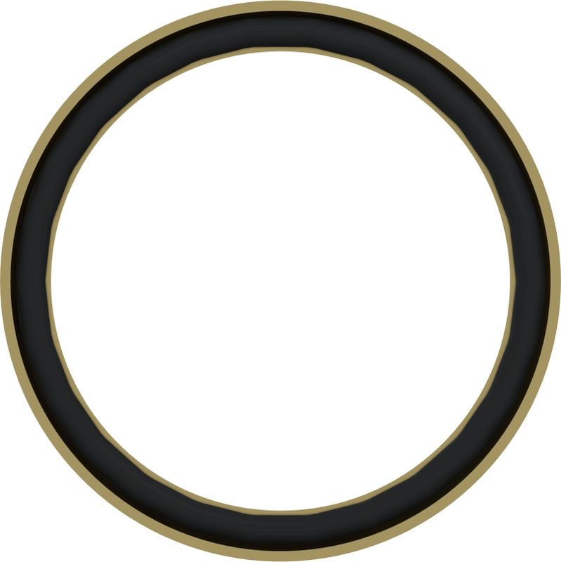 Wabco Druckring
