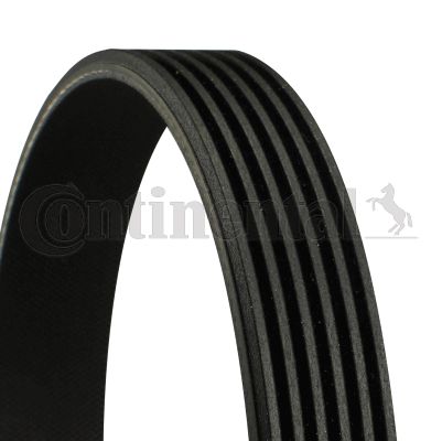 Keilrippenriemen Continental Ctam 6pk1050 für Audi Citroen Fiat 86->