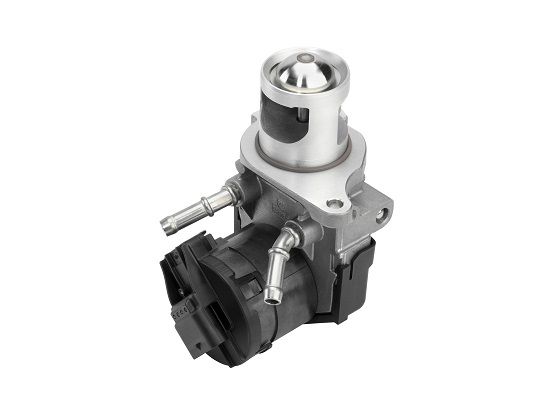 Borgwarner (Wahler) 710327D/1 Agr-Ventil für BMW X4 X6 X5 X3 2004->